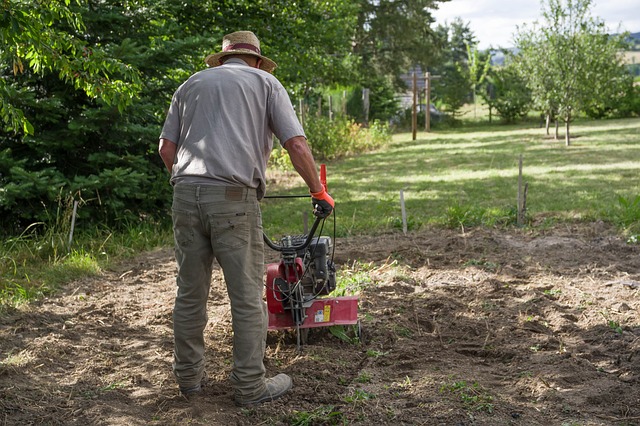 Jardinier qui passe le motoculteur pour faire un semis en mai dans son potager.