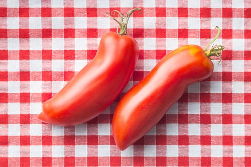 2 tomates cornue de sandes sur une nappe à carreaux rouge