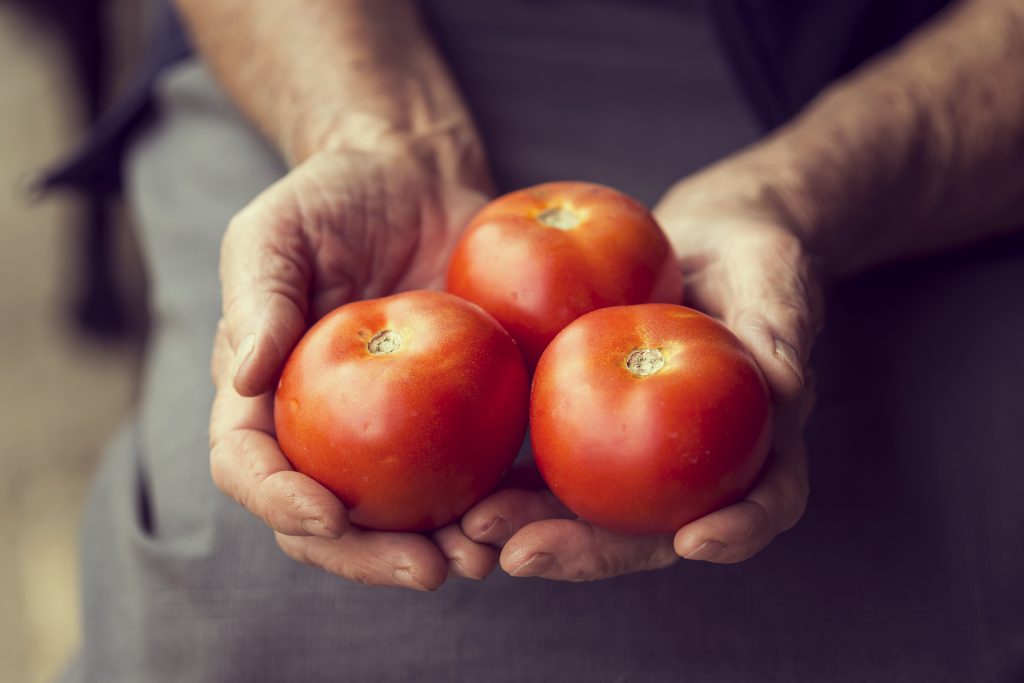 3 tomates ronde dans les mains d'un homme