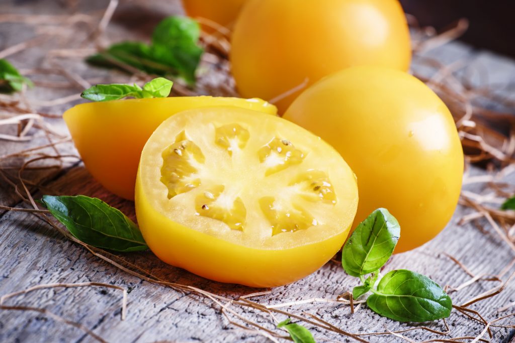 Tomates jaunes avec des feuilles de basilics sur une table en bois.