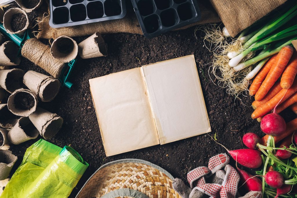 Semis de graines de carottes avec tous les accessoires: pots, terreau, radis, notes, ...