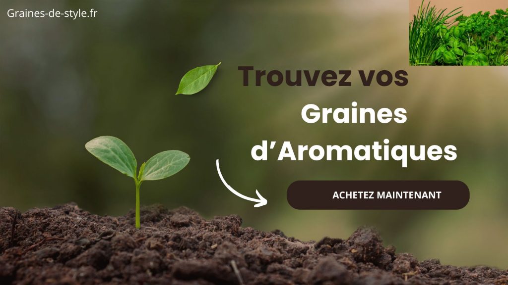 bannière aromatiques